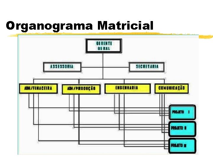 Organograma Matricial 