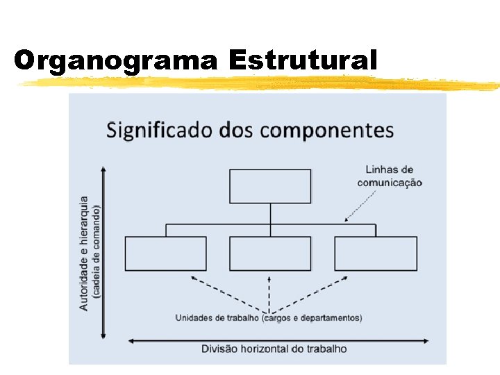Organograma Estrutural 