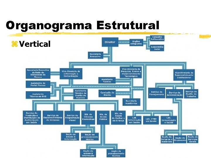 Organograma Estrutural z Vertical 