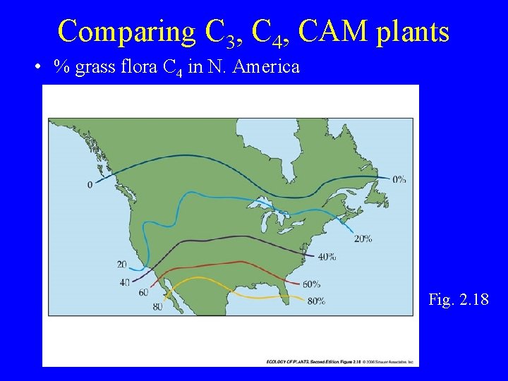 Comparing C 3, C 4, CAM plants • % grass flora C 4 in