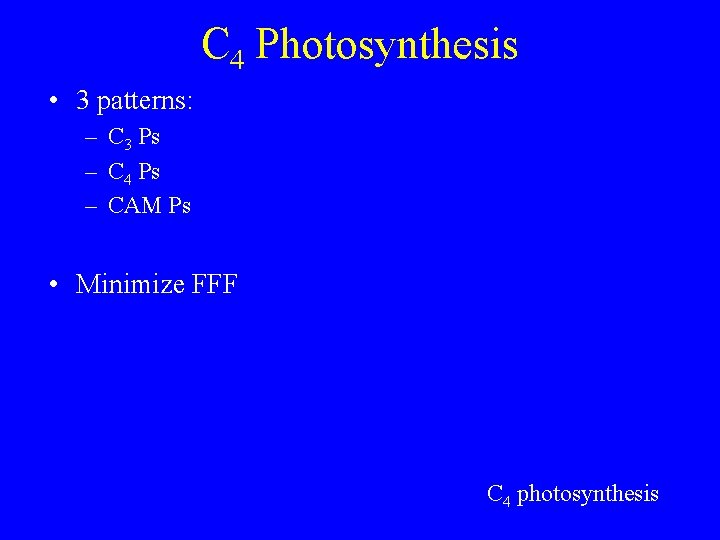 C 4 Photosynthesis • 3 patterns: – C 3 Ps – C 4 Ps