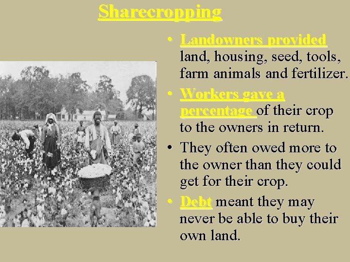 Sharecropping • Landowners provided land, housing, seed, tools, farm animals and fertilizer. • Workers