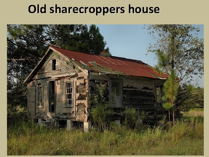 Old sharecroppers house 