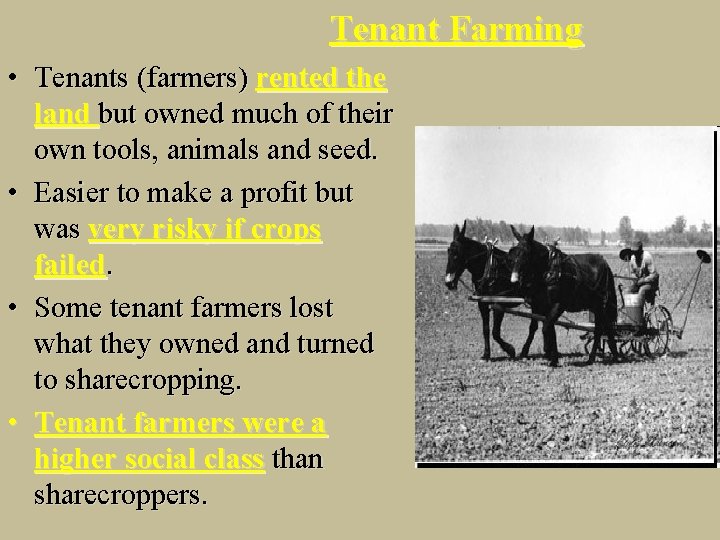 Tenant Farming • Tenants (farmers) rented the land but owned much of their own