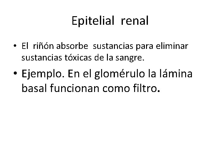 Epitelial renal • El riñón absorbe sustancias para eliminar sustancias tóxicas de la sangre.