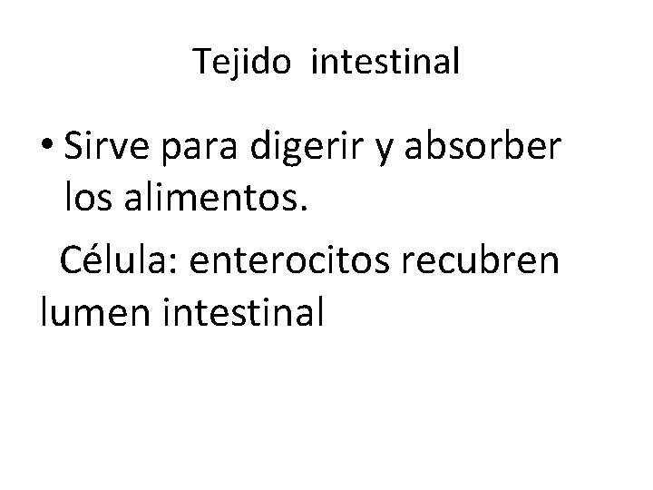 Tejido intestinal • Sirve para digerir y absorber los alimentos. Célula: enterocitos recubren lumen