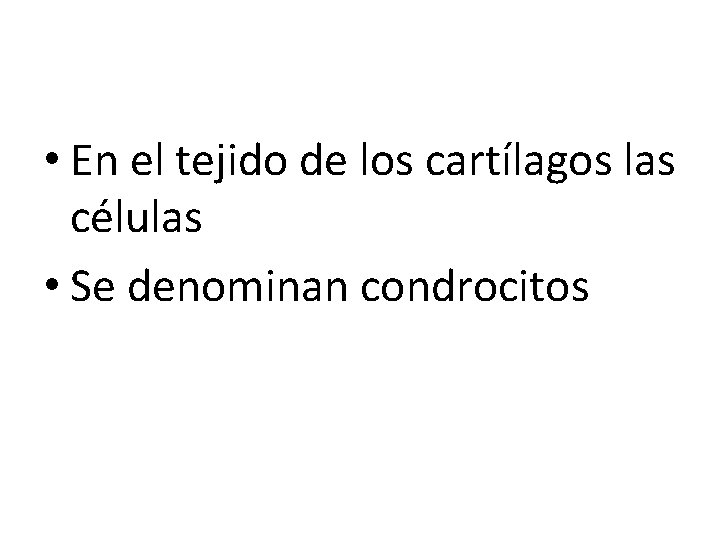  • En el tejido de los cartílagos las células • Se denominan condrocitos