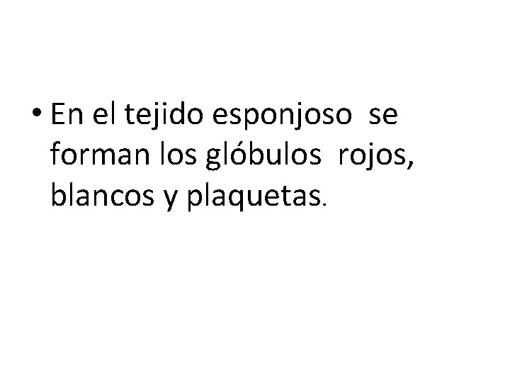  • En el tejido esponjoso se forman los glóbulos rojos, blancos y plaquetas.