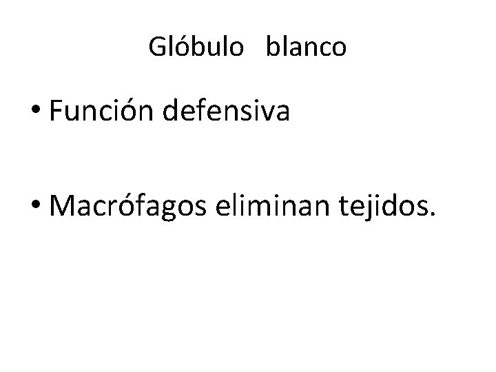 Glóbulo blanco • Función defensiva • Macrófagos eliminan tejidos. 