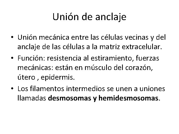 Unión de anclaje • Unión mecánica entre las células vecinas y del anclaje de