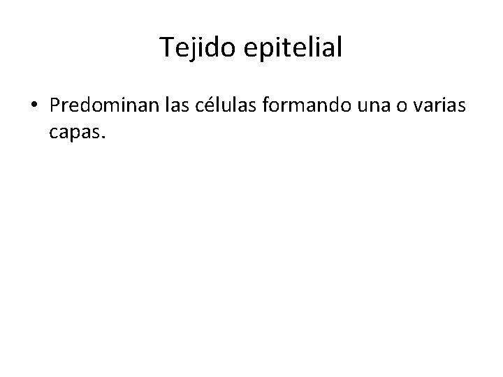 Tejido epitelial • Predominan las células formando una o varias capas. 