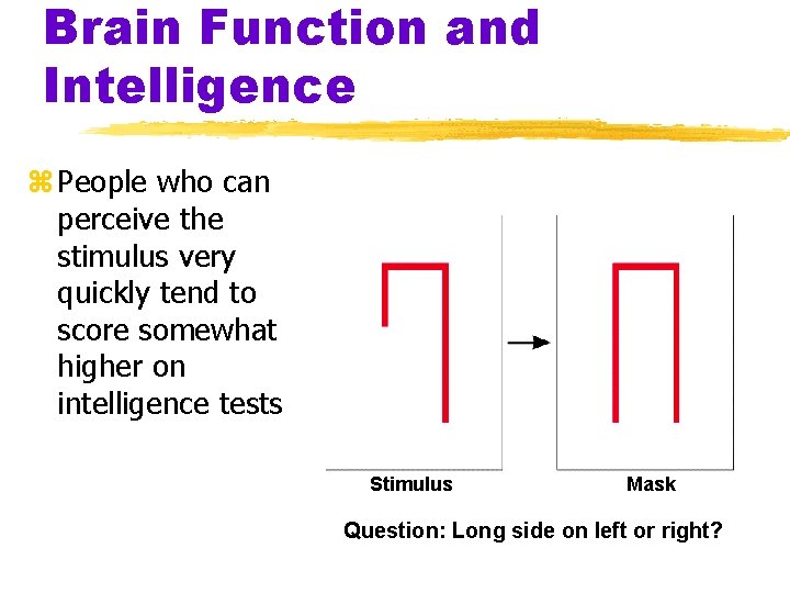 Brain Function and Intelligence z People who can perceive the stimulus very quickly tend Brain Function and Intelligence z People who can perceive the stimulus very quickly tend