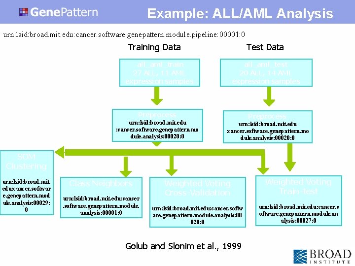 Example: ALL/AML Analysis urn: lsid: broad. mit. edu: cancer. software. genepattern. module. pipeline: 00001: