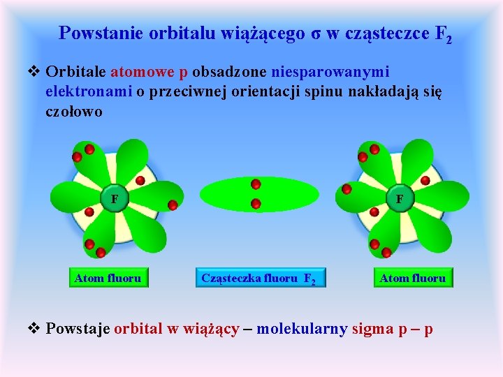 Powstanie orbitalu wiążącego σ w cząsteczce F 2 v Orbitale atomowe p obsadzone niesparowanymi