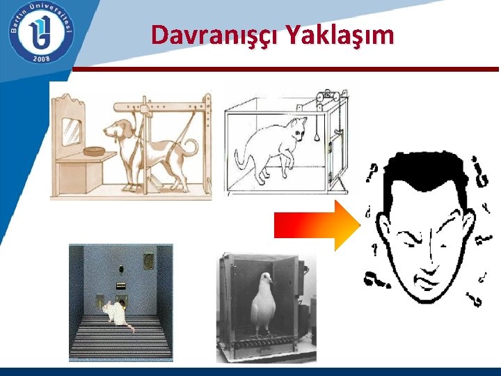  Davranışçı Yaklaşım 