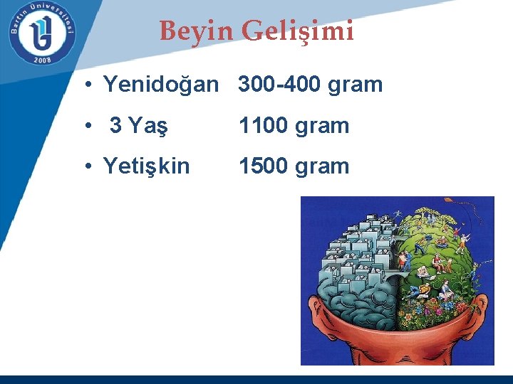 Beyin Gelişimi • Yenidoğan 300 -400 gram • 3 Yaş 1100 gram • Yetişkin