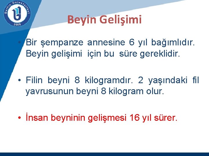 Beyin Gelişimi • Bir şempanze annesine 6 yıl bağımlıdır. Beyin gelişimi için bu süre