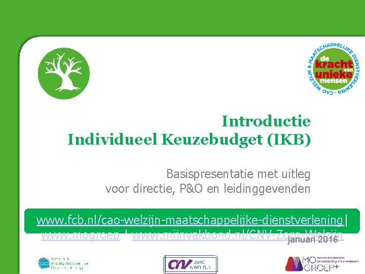 Introductie Individueel Keuzebudget (IKB) Basispresentatie met uitleg voor directie, P&O en leidinggevenden www. fcb.