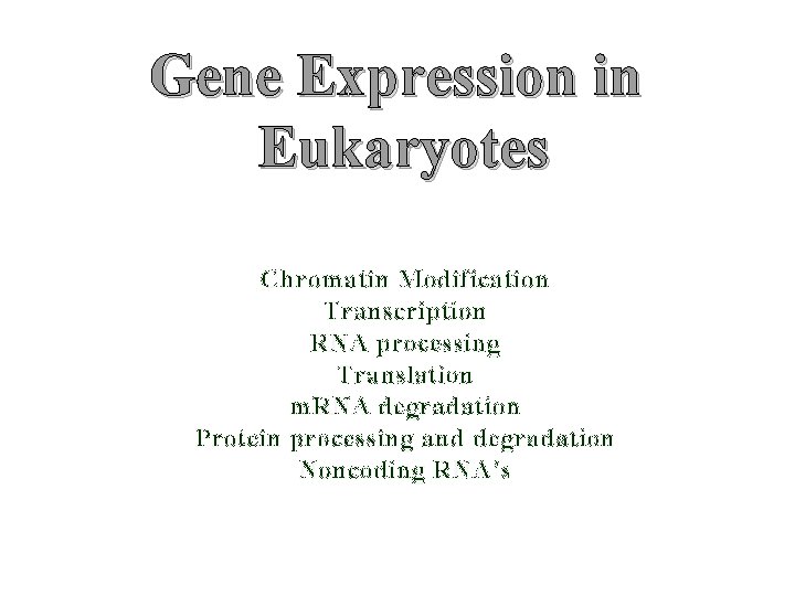 Gene Expression in Eukaryotes Chromatin Modification Transcription RNA processing Translation m. RNA degradation Protein