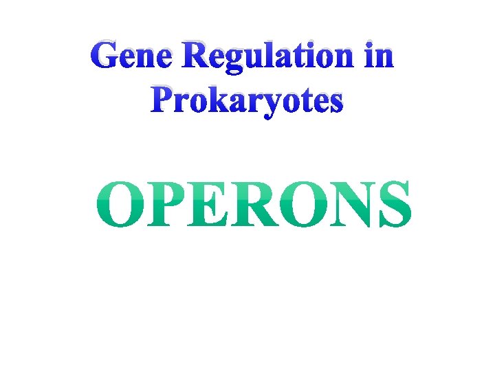 Gene Regulation in Prokaryotes 