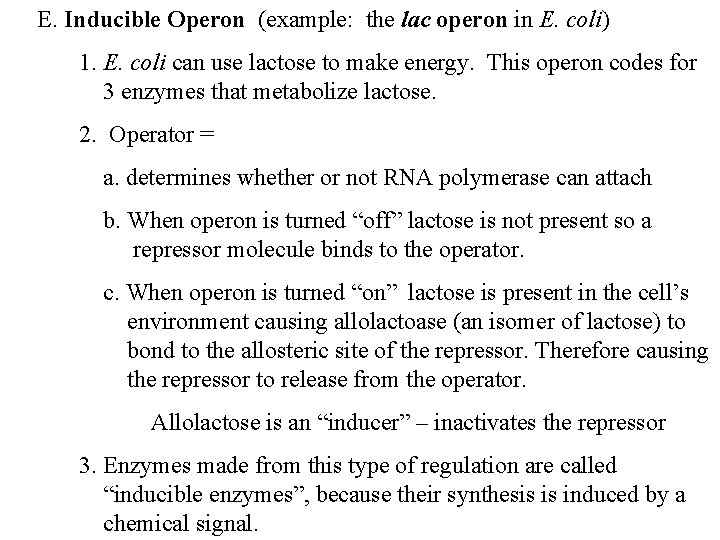 E. Inducible Operon (example: the lac operon in E. coli) 1. E. coli can
