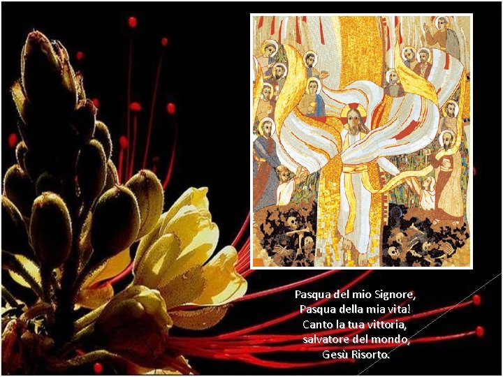 Pasqua del mio Signore, Pasqua della mia vita! Canto la tua vittoria, salvatore del