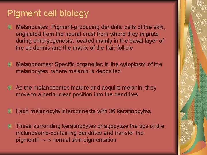Pigment cell biology Melanocytes: Pigment-producing dendritic cells of the skin, originated from the neural