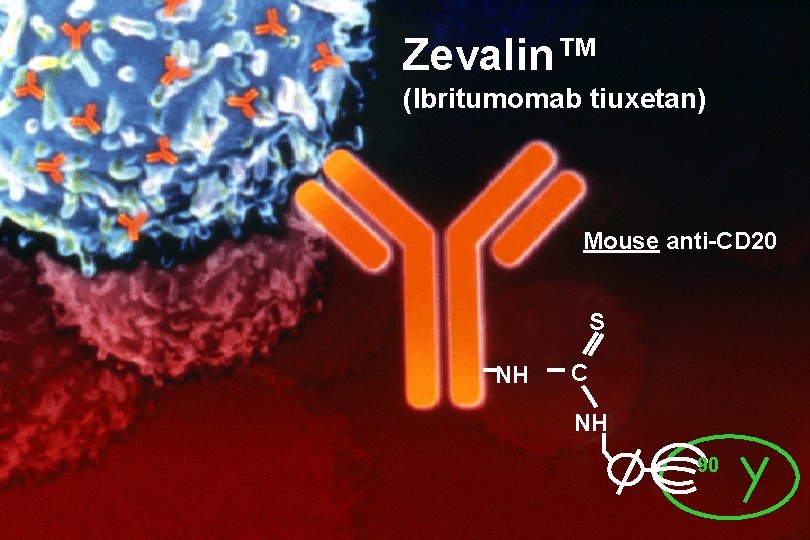 Zevalin™ (Ibritumomab tiuxetan) Mouse anti-CD 20 S NH C NH 90 