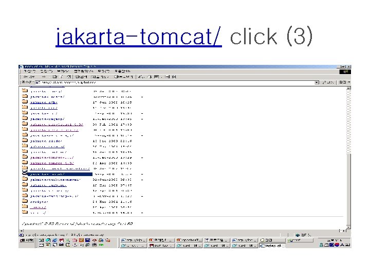 jakarta-tomcat/ click (3) 