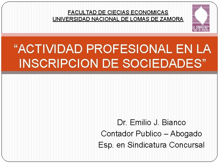 FACULTAD DE CIECIAS ECONOMICAS UNIVERSIDAD NACIONAL DE LOMAS DE ZAMORA “ACTIVIDAD PROFESIONAL EN LA