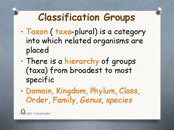 Classification Groups • Taxon ( taxa-plural) is a category into which related organisms are