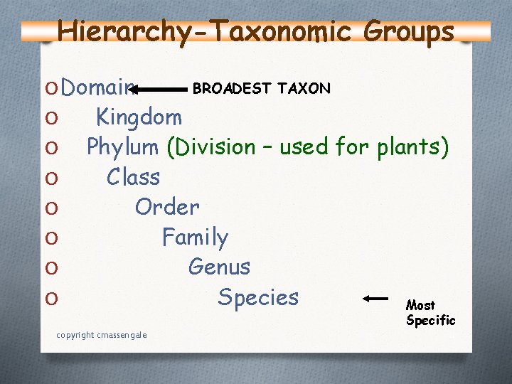 Hierarchy-Taxonomic Groups O Domain O O O O BROADEST TAXON Kingdom Phylum (Division –