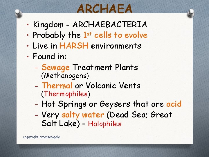 ARCHAEA • Kingdom - ARCHAEBACTERIA • Probably the 1 st cells to evolve •