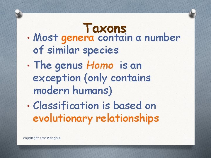 Taxons • Most genera contain a number of similar species • The genus Homo