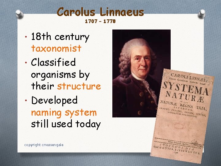 Carolus Linnaeus 1707 – 1778 • 18 th century taxonomist • Classified organisms by