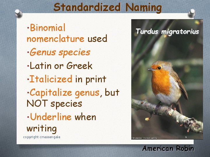 Standardized Naming • Binomial nomenclature used • Genus species • Latin or Greek •