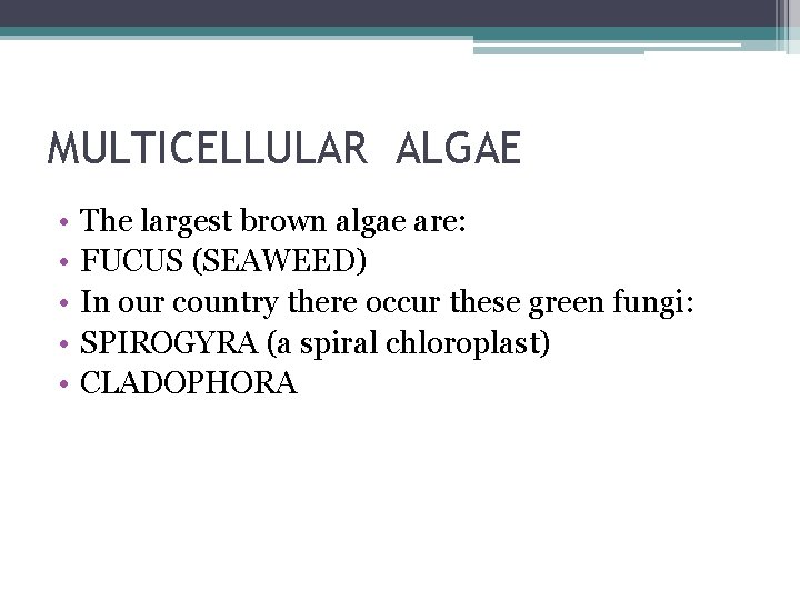 MULTICELLULAR ALGAE • • • The largest brown algae are: FUCUS (SEAWEED) In our