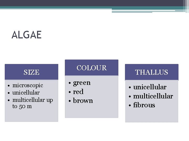 ALGAE SIZE • microscopic • unicellular • multicellular up to 50 m COLOUR •