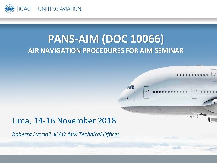 PANS-AIM (DOC 10066) AIR NAVIGATION PROCEDURES FOR AIM SEMINAR Lima, 14 -16 November 2018 PANS-AIM (DOC 10066) AIR NAVIGATION PROCEDURES FOR AIM SEMINAR Lima, 14 -16 November 2018
