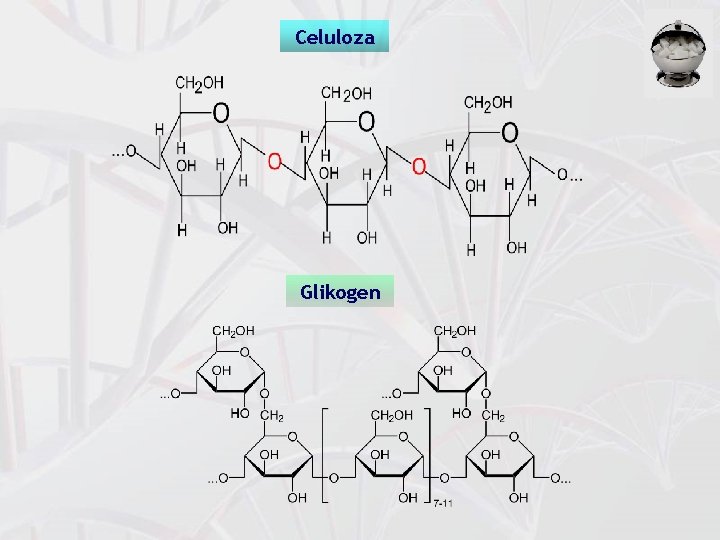 Celuloza Glikogen 