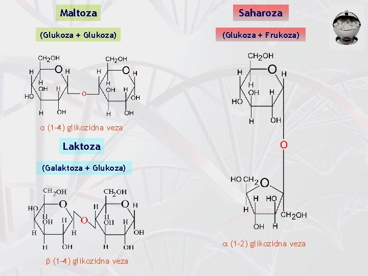 Maltoza Saharoza (Glukoza + Glukoza) (Glukoza + Frukoza) α (1 -4) glikozidna veza Laktoza