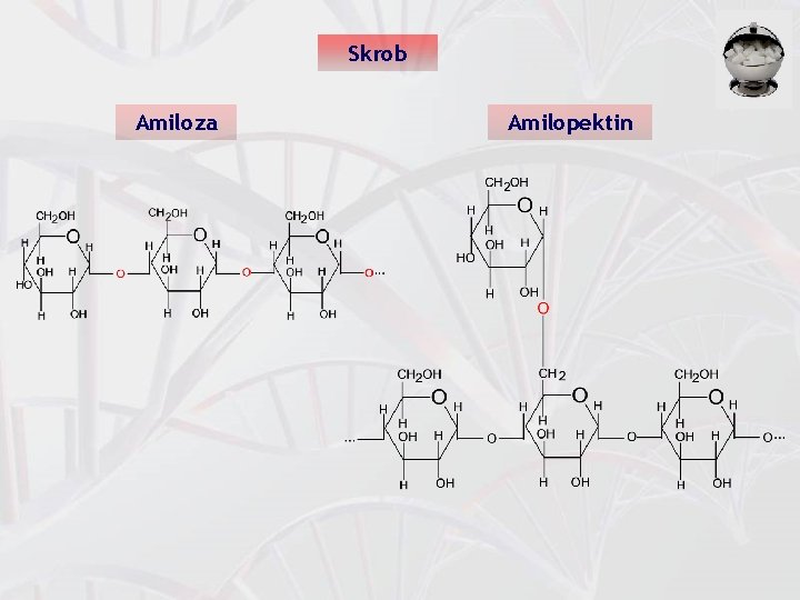 Skrob Amiloza Amilopektin 