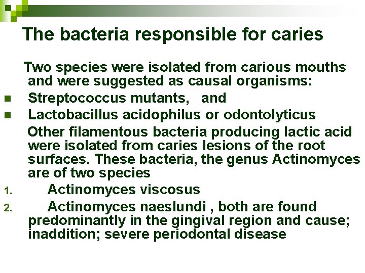 The bacteria responsible for caries n n 1. 2. Two species were isolated from