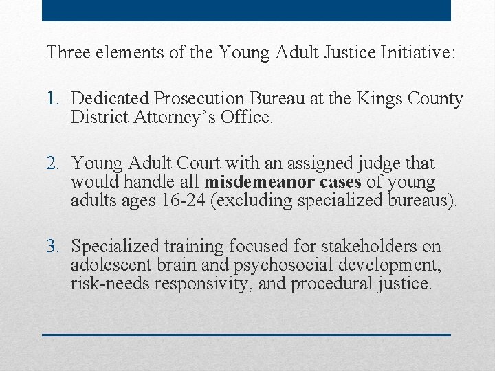 Three elements of the Young Adult Justice Initiative: 1. Dedicated Prosecution Bureau at the