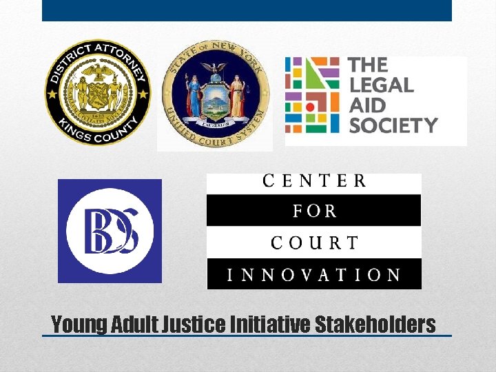 Young Adult Justice Initiative Stakeholders 