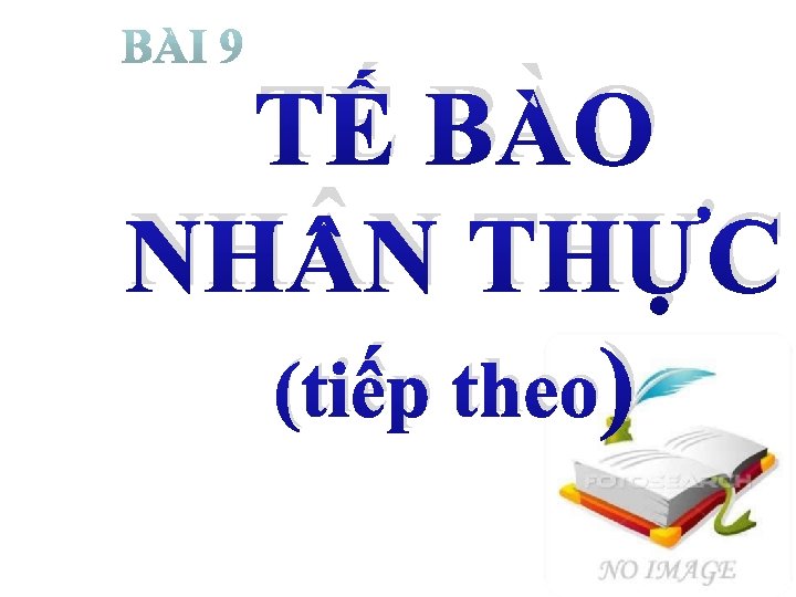 TẾ BÀO NH N THỰC (tiếp theo) 