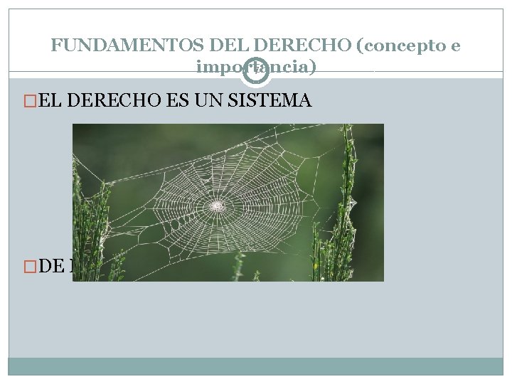 FUNDAMENTOS DEL DERECHO (concepto e importancia) 7 �EL DERECHO ES UN SISTEMA �DE NORMAS