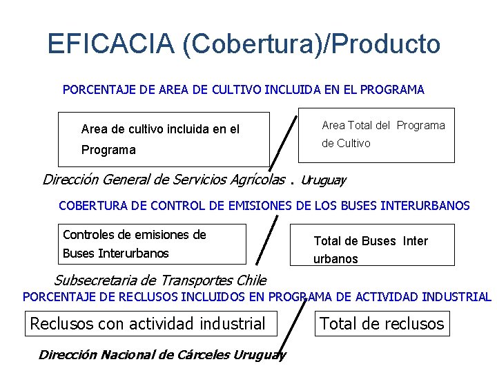 EFICACIA (Cobertura)/Producto PORCENTAJE DE AREA DE CULTIVO INCLUIDA EN EL PROGRAMA Area de cultivo EFICACIA (Cobertura)/Producto PORCENTAJE DE AREA DE CULTIVO INCLUIDA EN EL PROGRAMA Area de cultivo