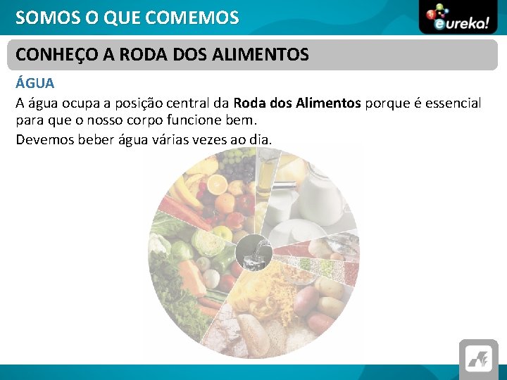 SOMOS O QUE COMEMOS CONHEÇO A RODA DOS ALIMENTOS ÁGUA A água ocupa a