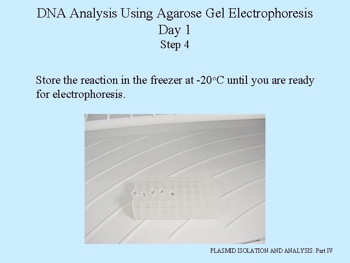 PLASMID ISOLATION AND ANALYSIS Part IV DNA Analysis